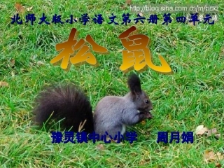 三年级语文下册四可爱的小生灵3松鼠第一课时课件