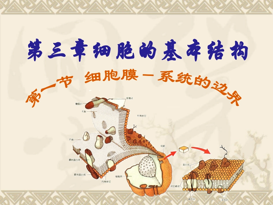 31细胞膜——系统的边界_第1页