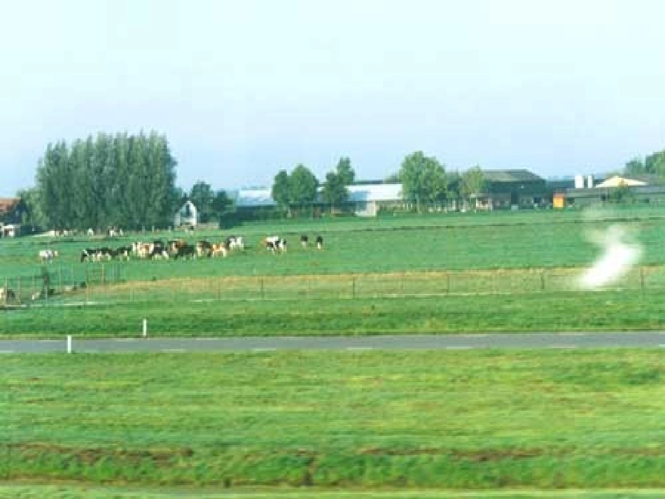 牧场上的家 (2)_第2页