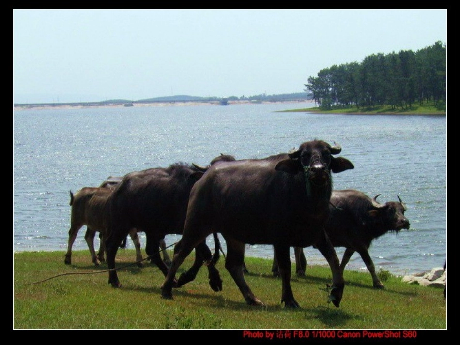 牧场上的家 (2)_第3页