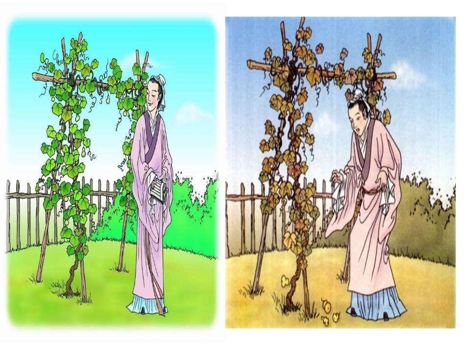 二年级上14课__我要的是葫芦_第2页