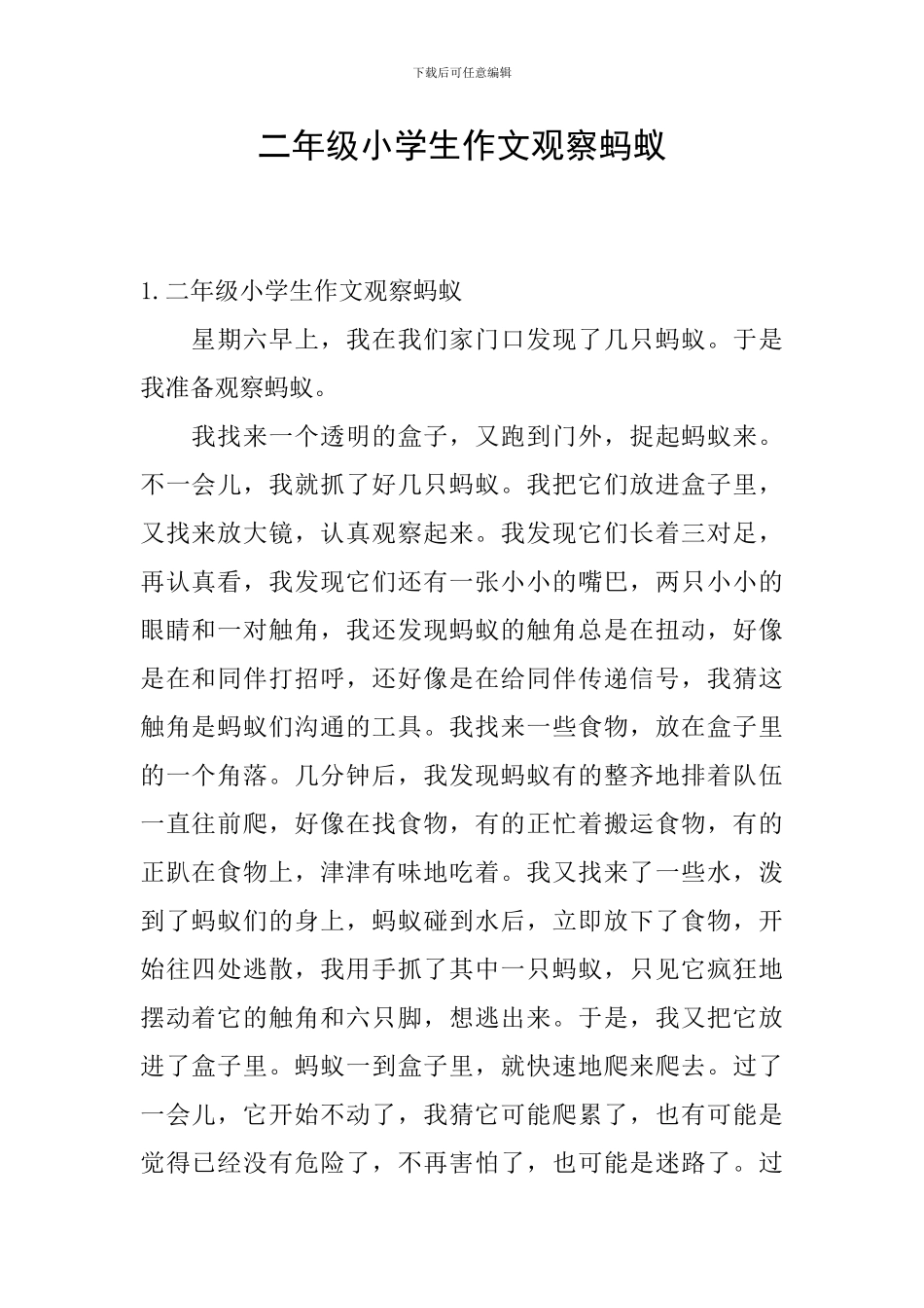 二年级小学生作文观察蚂蚁_第1页