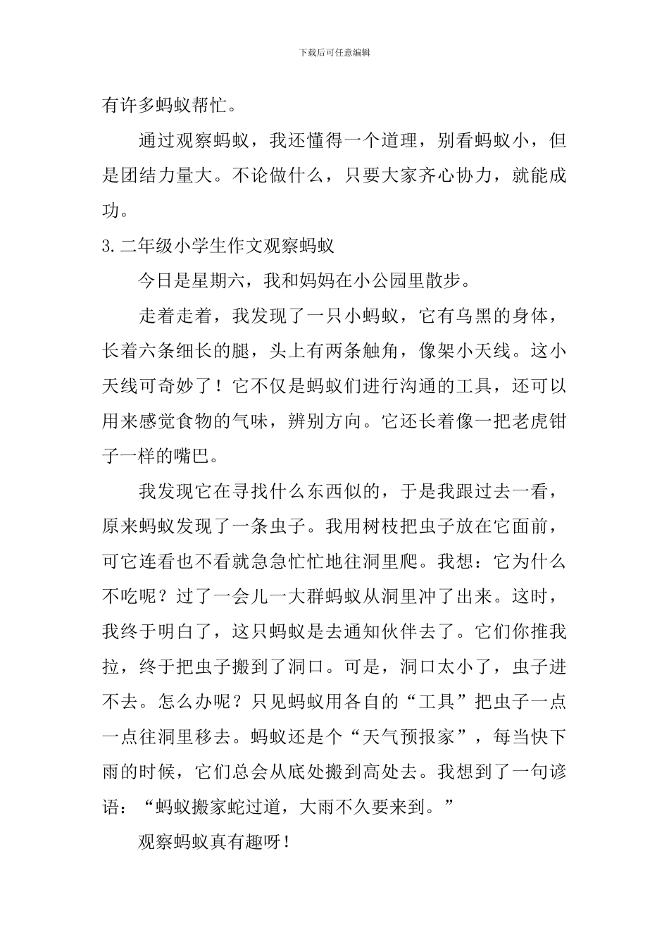 二年级小学生作文观察蚂蚁_第3页
