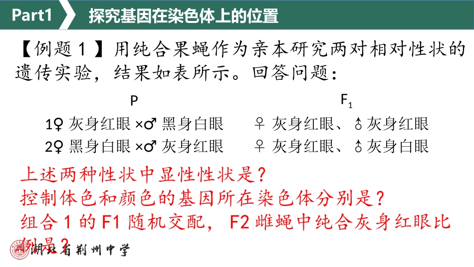 伴性遗传教学例题课件_第3页