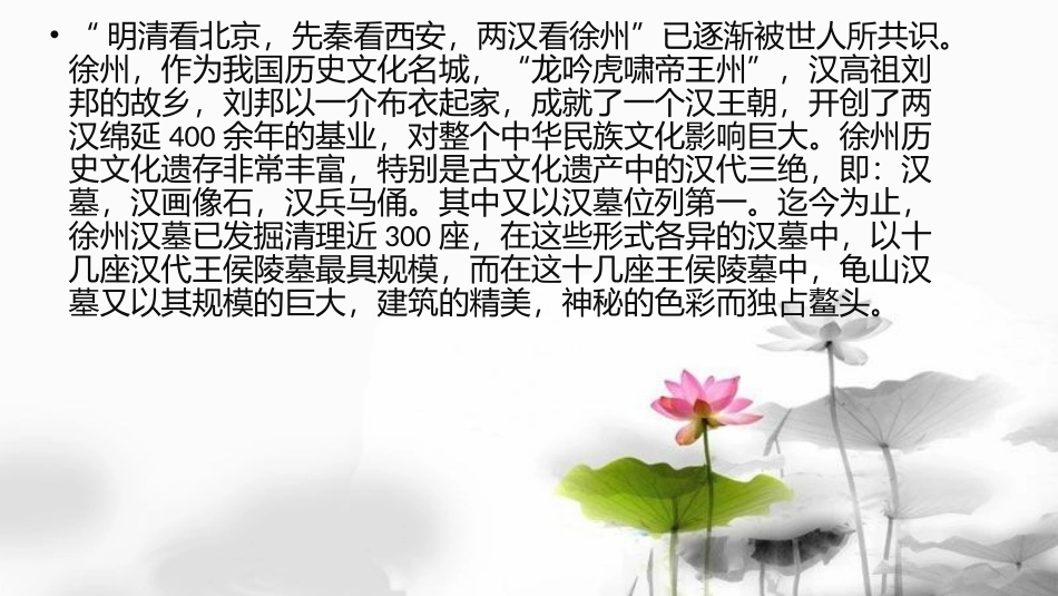 龟山汉墓（五年级下册习作四课件）_第2页
