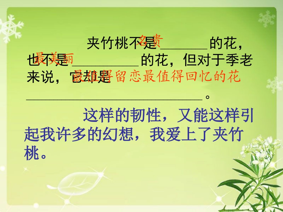 夹竹桃(课件)_第2页