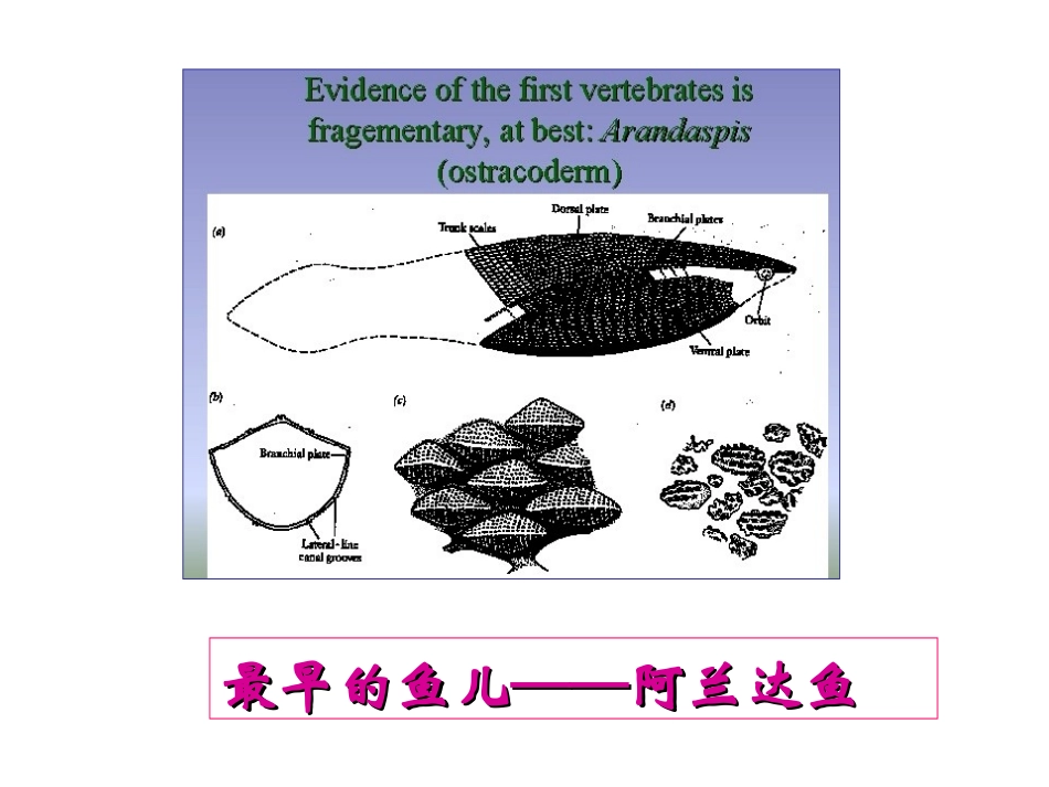 化石吟(1)_第2页