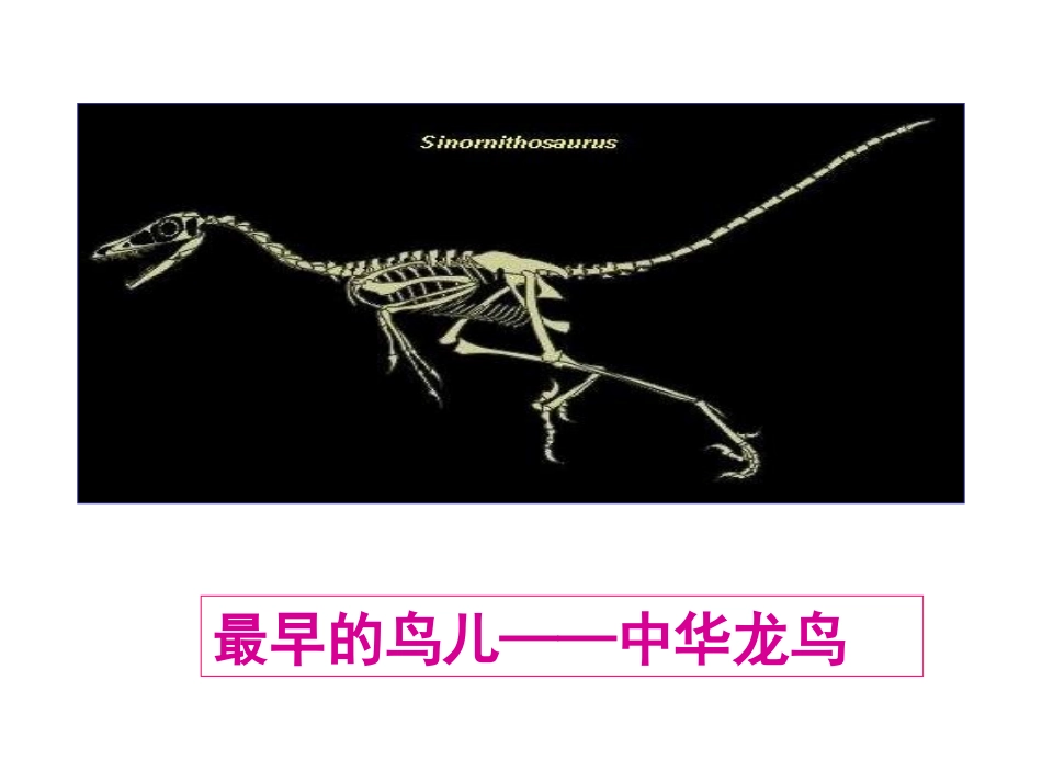 化石吟(1)_第3页