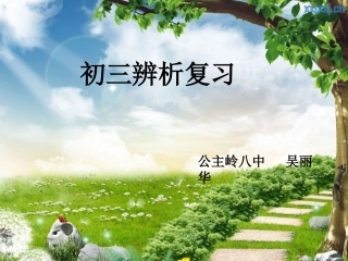 初三辨析复习