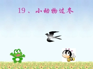 小动物过冬课件
