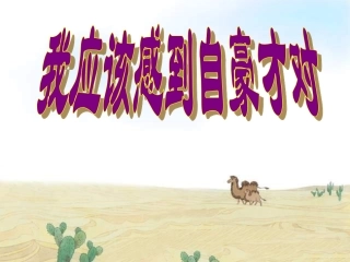 我应该感到自豪才对