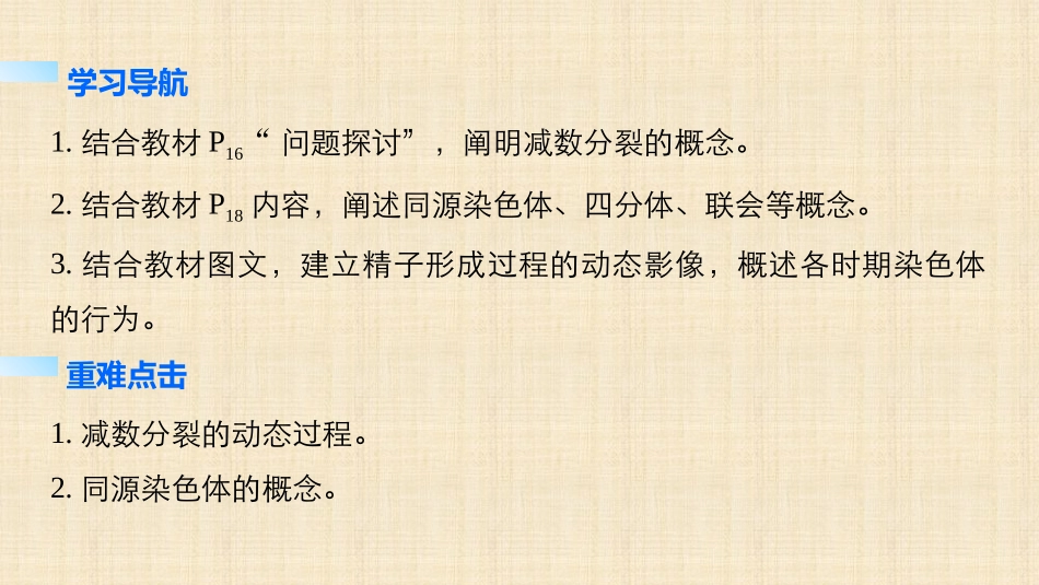 211减数分裂的概念、精子的形成过程_第2页