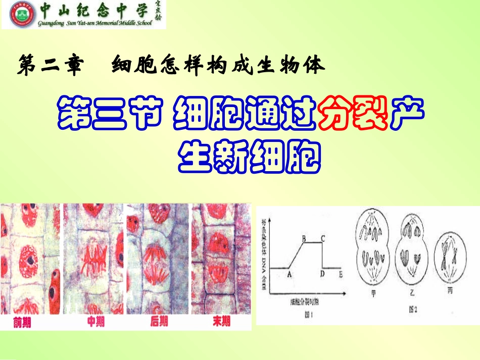 221细胞通过分裂产生新细胞_第1页