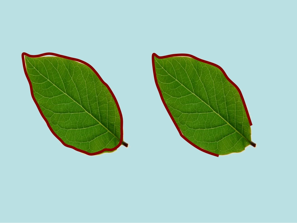 有用周长课件_第3页