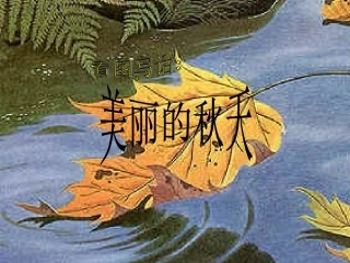 美丽的秋天课件