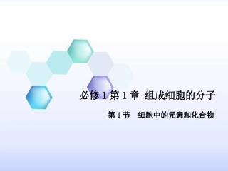 专题21细胞中的元素和化合物（课件）