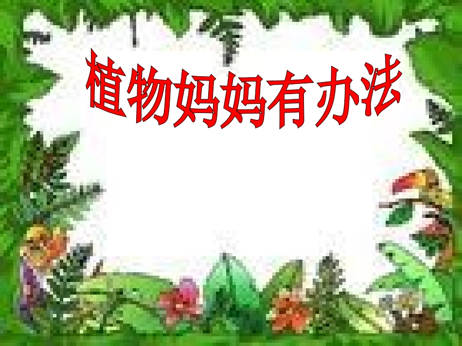 《植物妈妈有办法》_第1页