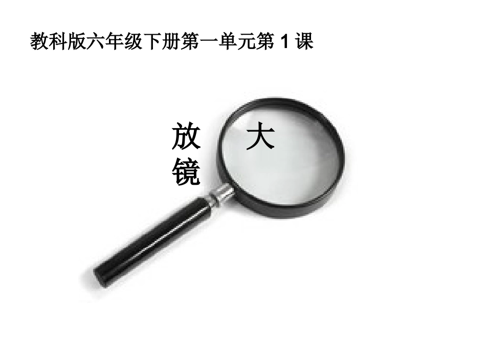 六下一1放大镜PPT_第1页