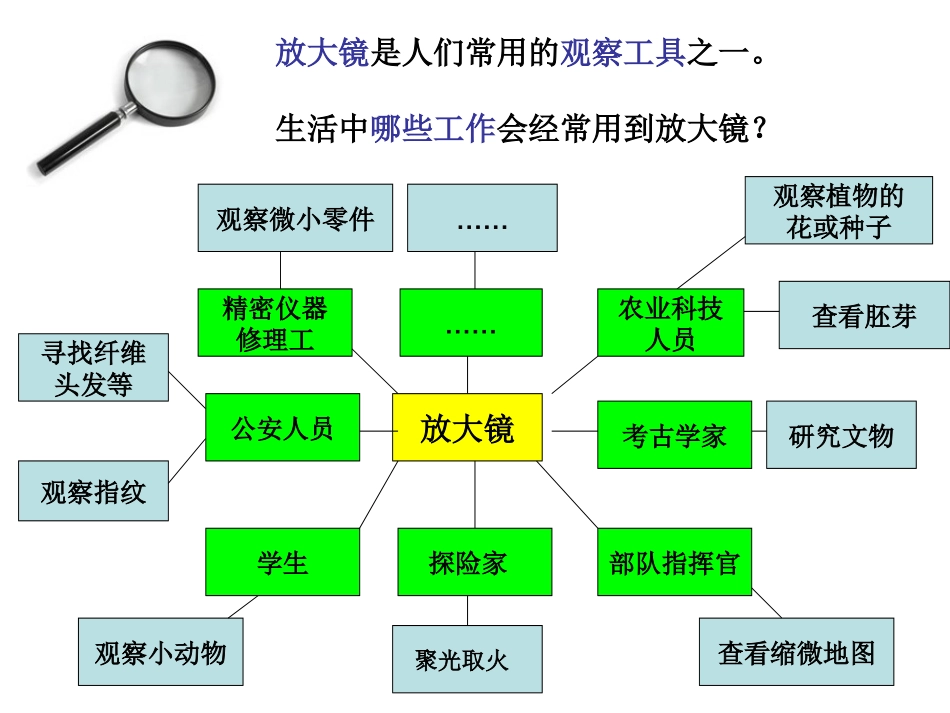 六下一1放大镜PPT_第3页