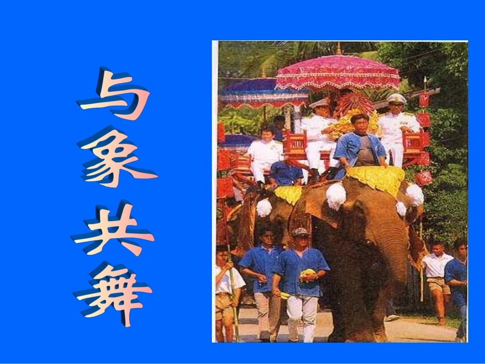 与象共舞课件_第1页
