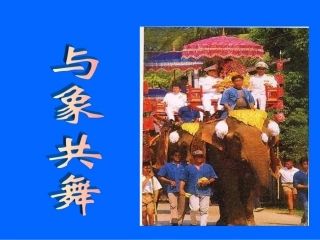 与象共舞课件