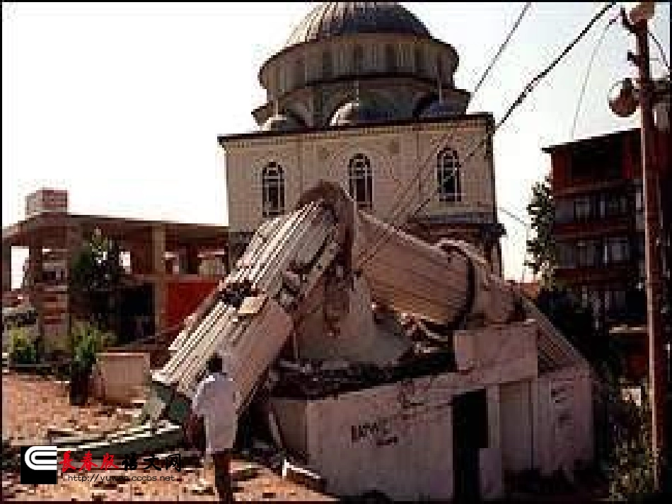 长春版四年级下册《地震中的父与子》PPT课件_第2页