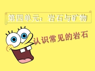 认识常见岩石