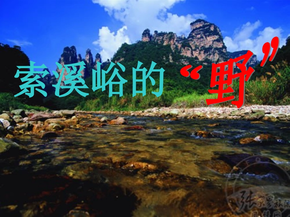 4索溪峪的野 (2)_第1页