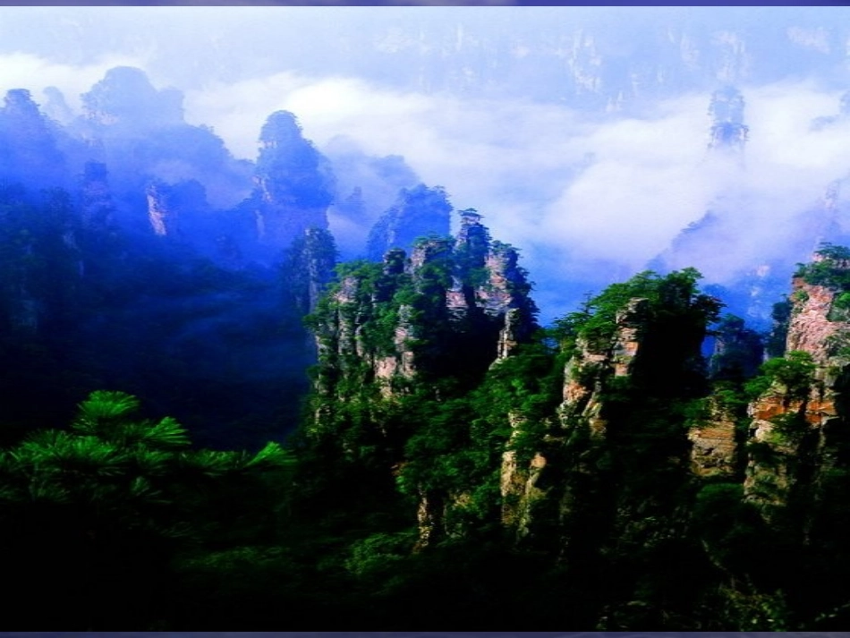 4索溪峪的野 (2)_第2页