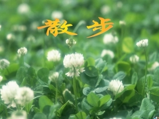 七年级语文上册《散步》课件人教版