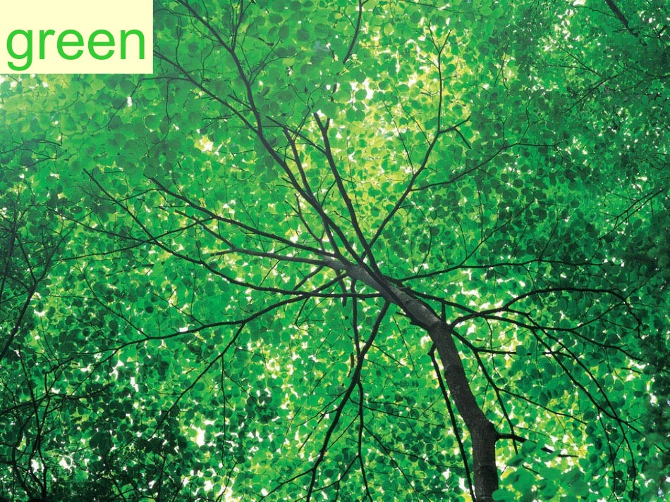 Unit_2_Colours_第二课时_第3页