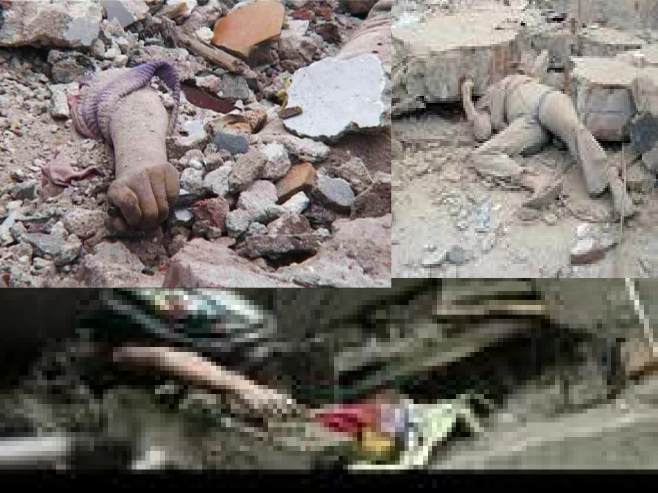 地震中的父与子PPT大[1]_第3页