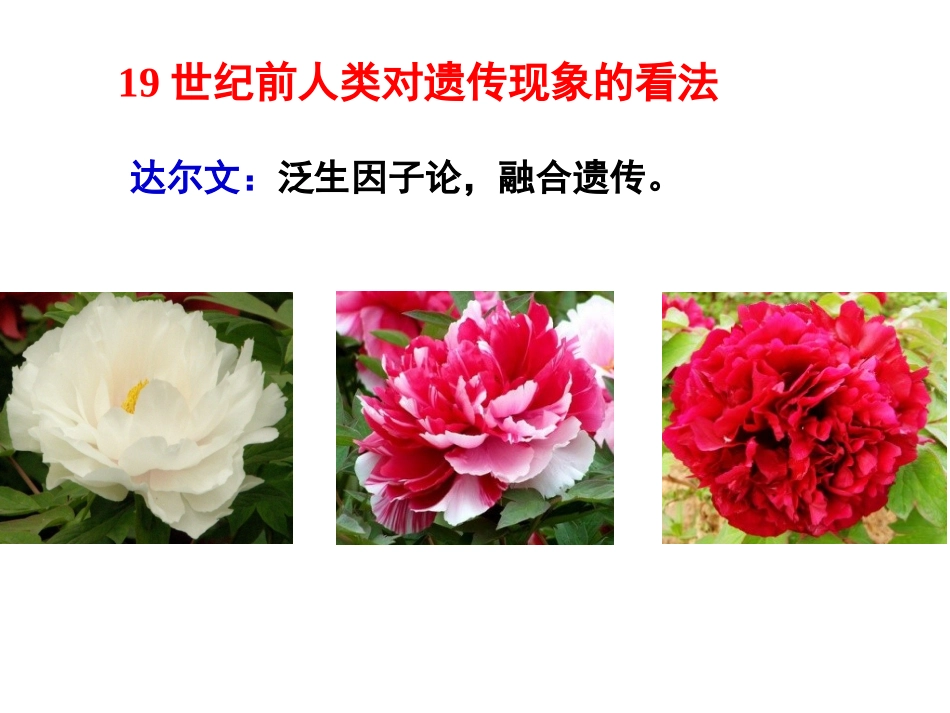 必修2-11-孟德尔的豌豆杂交实验(一)公开课_第2页