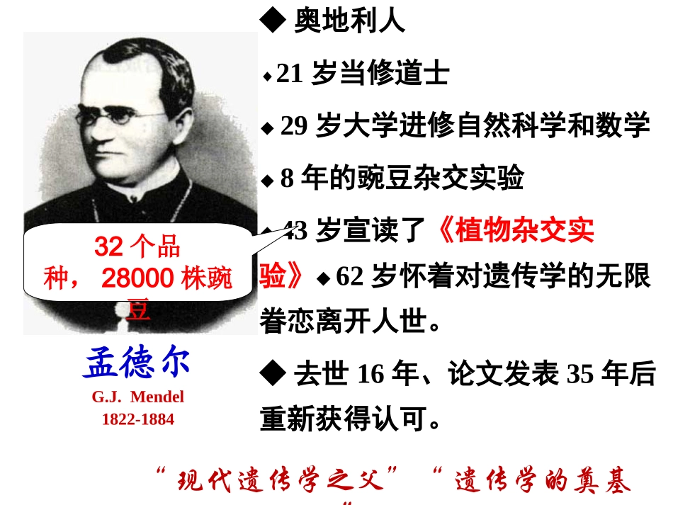 必修2-11-孟德尔的豌豆杂交实验(一)公开课_第3页