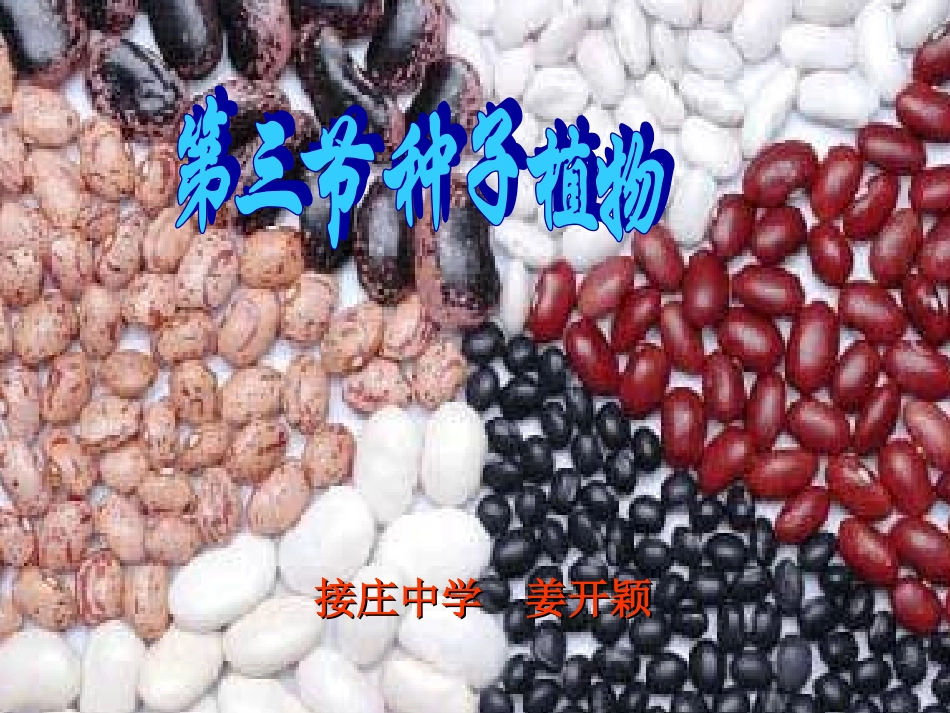 诸位评委老师_第2页