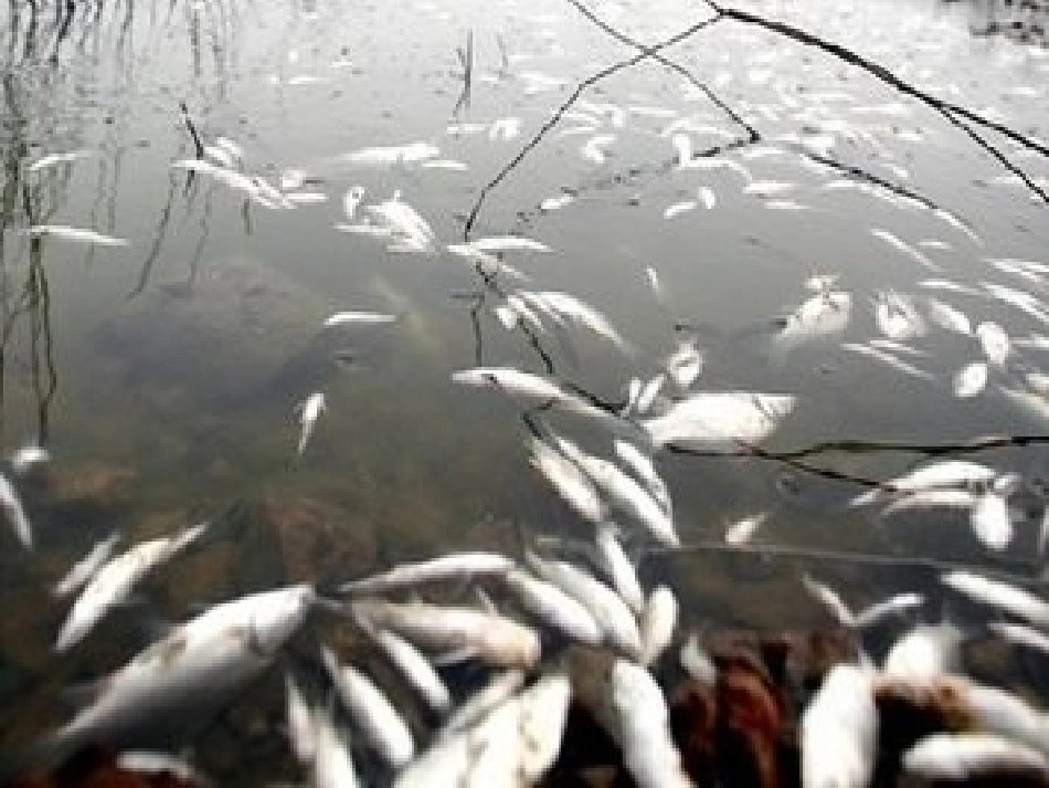 27、清澈的湖水_第2页