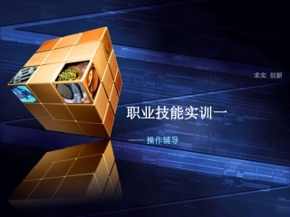 职业技能实训一