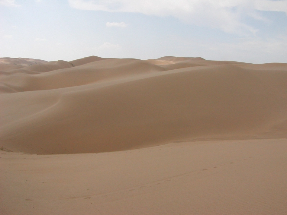 在沙漠中心 (2)_第2页