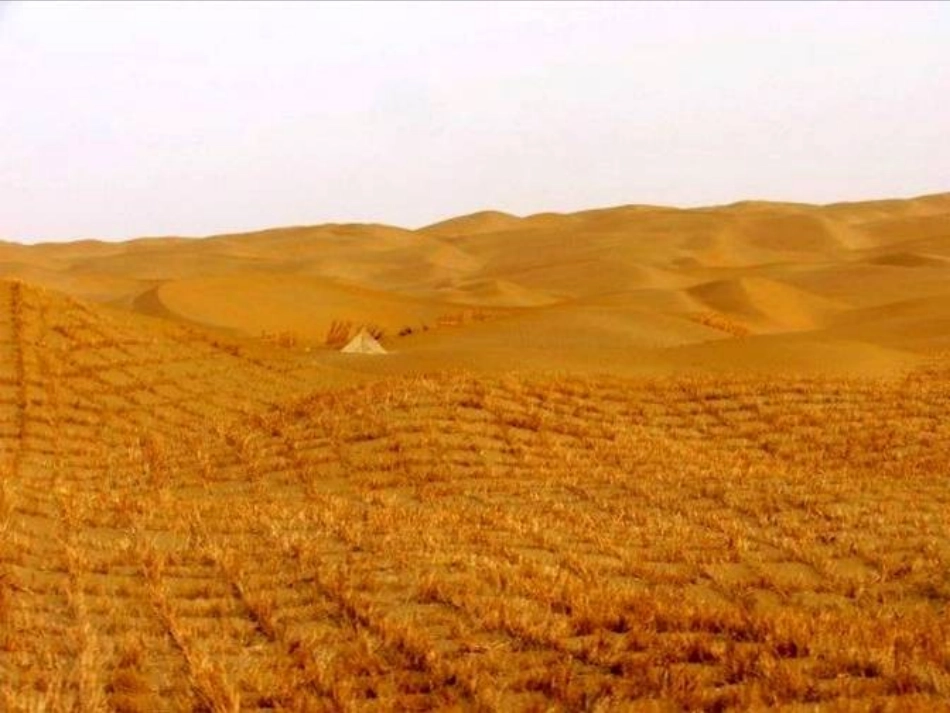 在沙漠中心 (2)_第3页