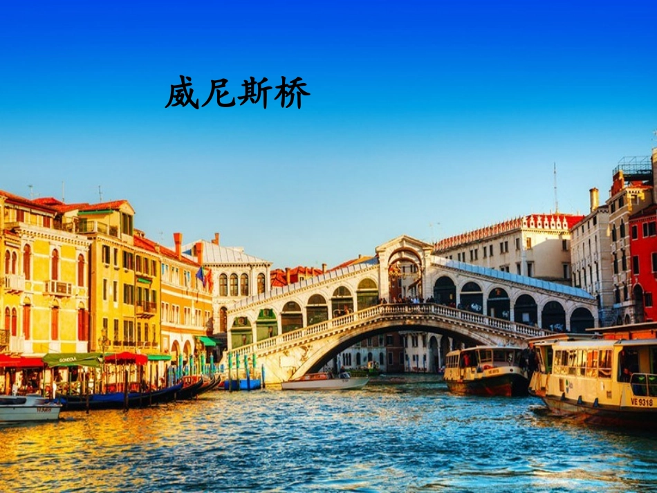 中国石拱桥蒋琦_第2页