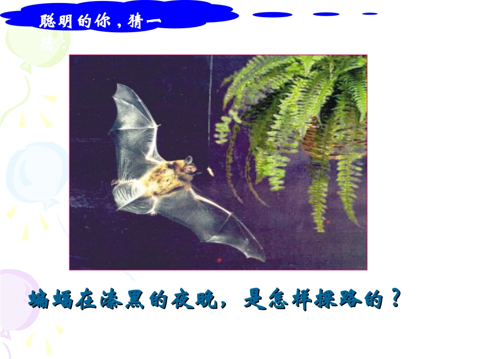 23声的利用 (2)_第2页