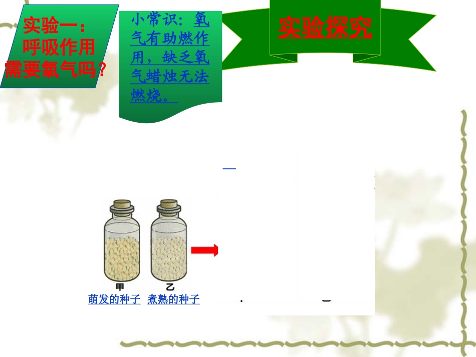 1植物的呼吸作用_第3页