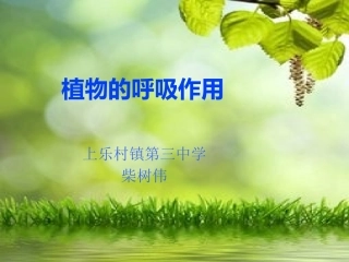 1植物的呼吸作用