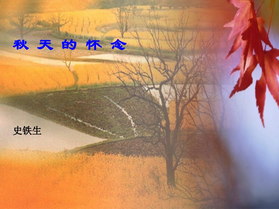 5秋天的怀念_第1页