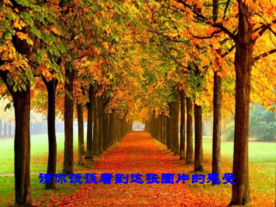 5秋天的怀念_第2页