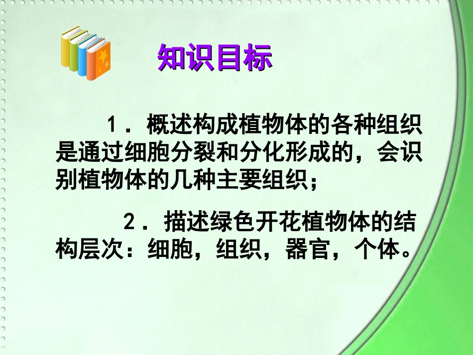 223植物体的结构层次_第3页
