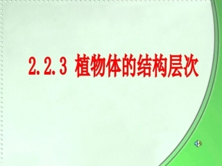 223植物体的结构层次