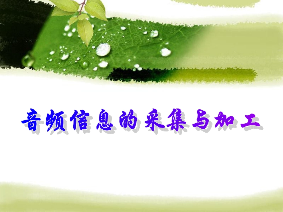 51音频信息的采集与加工_第1页