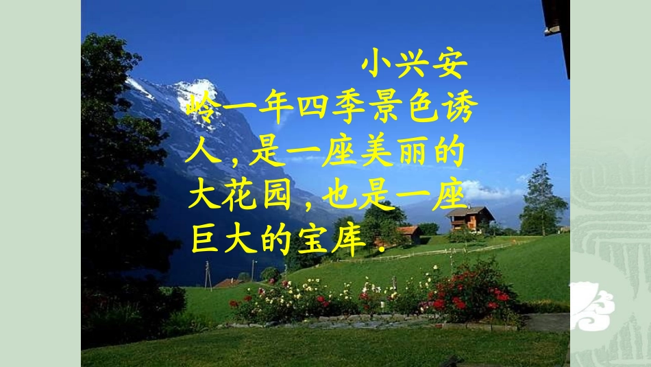 三年级语文上册第六组23美丽的小兴安岭第一课时课件_第2页