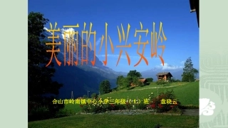 三年级语文上册第六组23美丽的小兴安岭第一课时课件